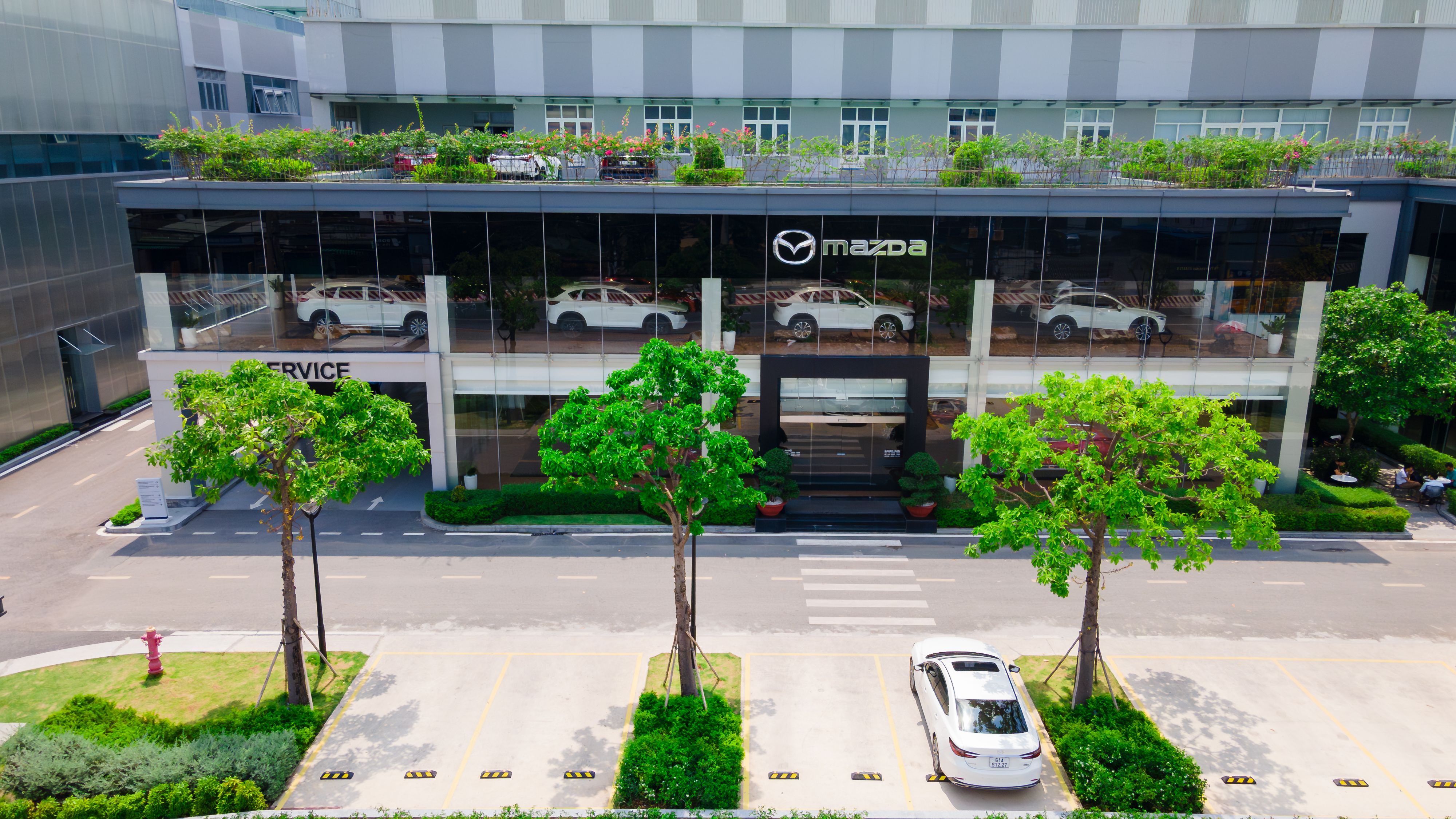 Mazda Bình Dương